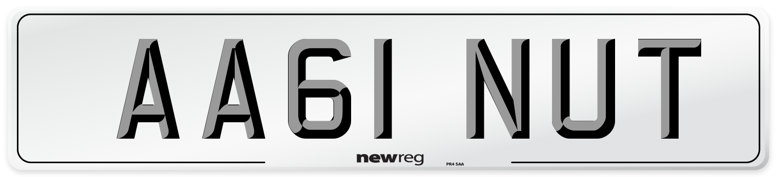 AA61 NUT Number Plate from New Reg
